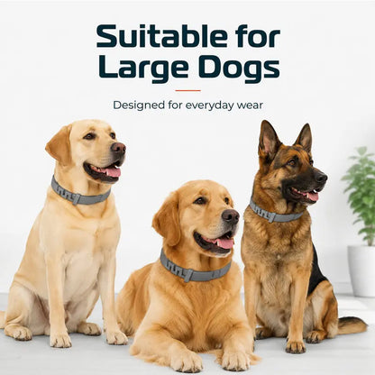 ✨8-Month Flea and Tick Prevention Collar for Cats & Dogs | Non-Toxic Shield🛡️