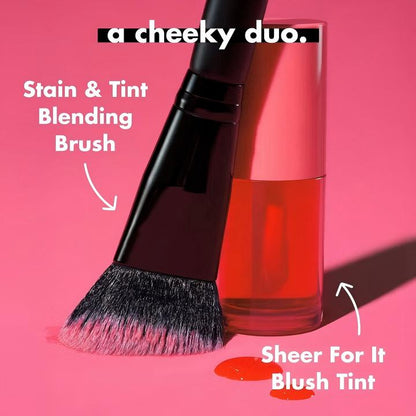 2-in-1 Hydrating Lip & Cheek Tint | Long-Wear Dewy Blush & Stain