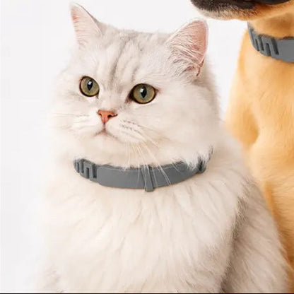 ✨8-Month Flea and Tick Prevention Collar for Cats & Dogs | Non-Toxic Shield🛡️