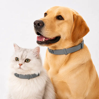 ✨8-Month Flea and Tick Prevention Collar for Cats & Dogs | Non-Toxic Shield🛡️
