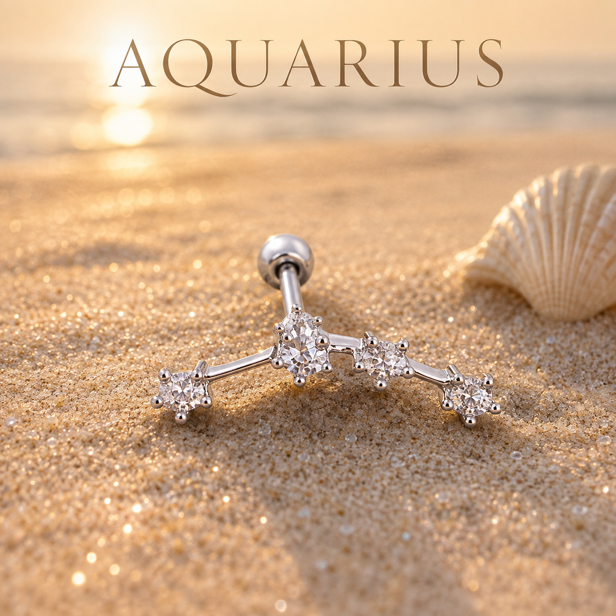 Aquarius ♒ (Pair)