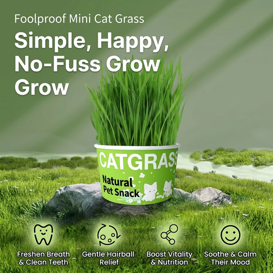 🌿No-Mess Cat Grass Kit | Hairball Relief & Clean Soil-Free Grow Cup✨