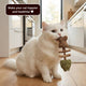 day-sale-50-off-catnip-silvervine-chew-2525